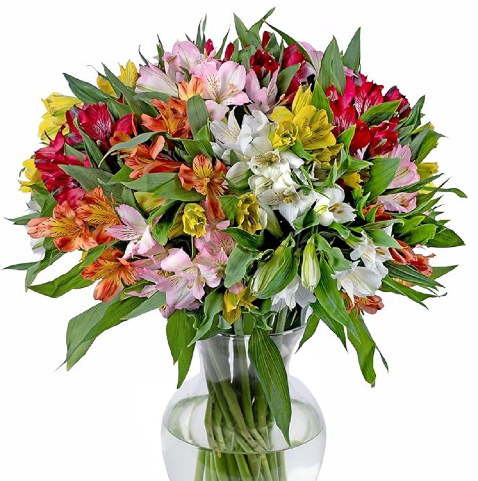 Vibrant mixed bouquet of Peruvian lilies in glass vase with pink, red, orange, yellow and white blooms