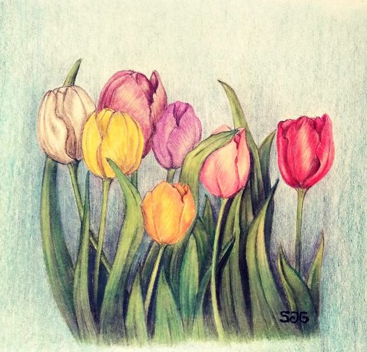 Colorful Tulips Painting