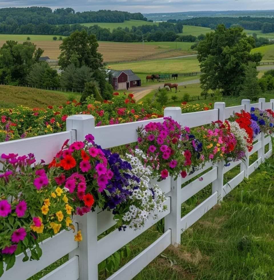 Farm Fence Flower Garden