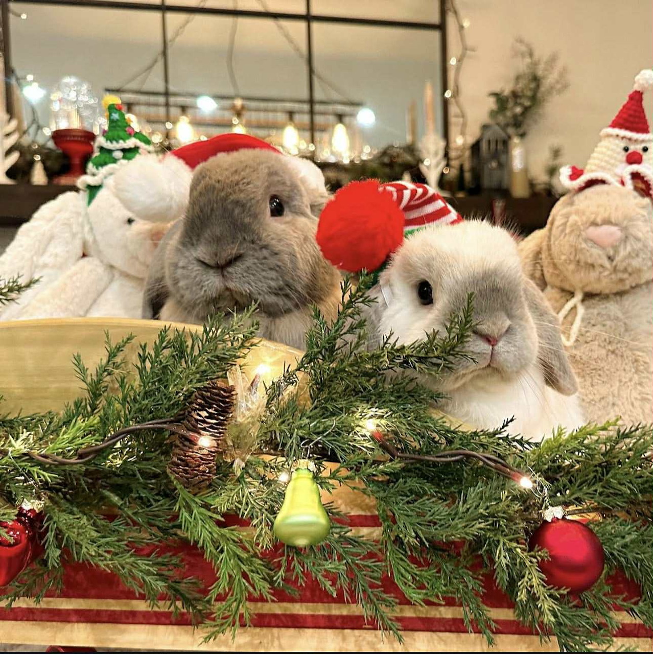 Three fluffy rabbits in Santa hats behind Christmas garland and ornaments indoors