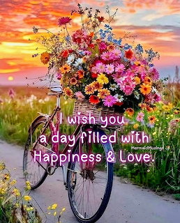 Vintage bicycle with a basket full of colorful flowers on a path during a vivid sunset