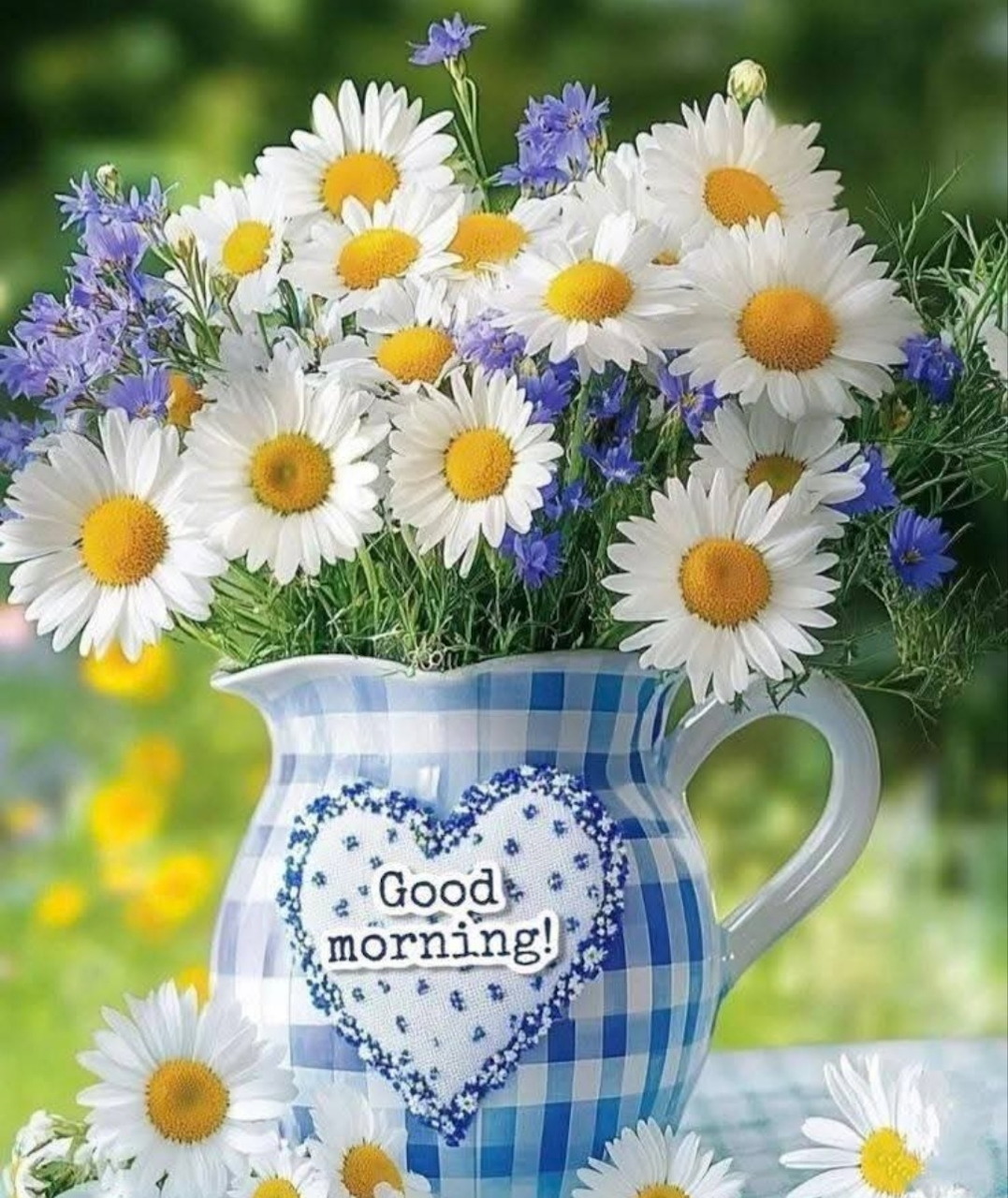White daisies and blue cornflowers in a blue gingham ceramic pitcher with a heart shape on it