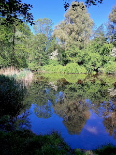 Still pond reflecting lush green trees and blue sky in a rural countryside setting