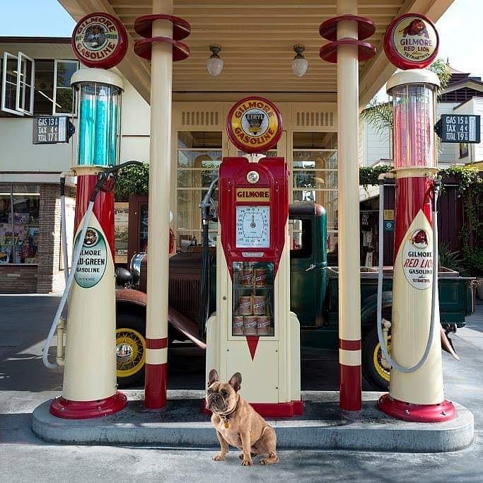 Three vintage red and cream gas pumps with a dog sitting in front under a pavilion