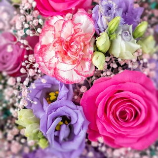 Roses For You