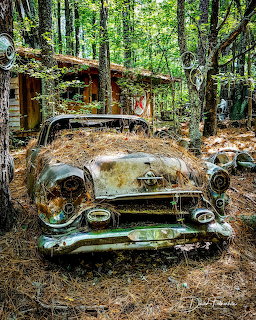 Abandoned Classic Cars in Forest