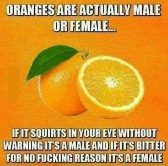 Orange meme with two oranges and a crude joke caption in bold white text