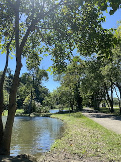 Tree-lined dirt path beside a calm pond in a green park on a sunny day