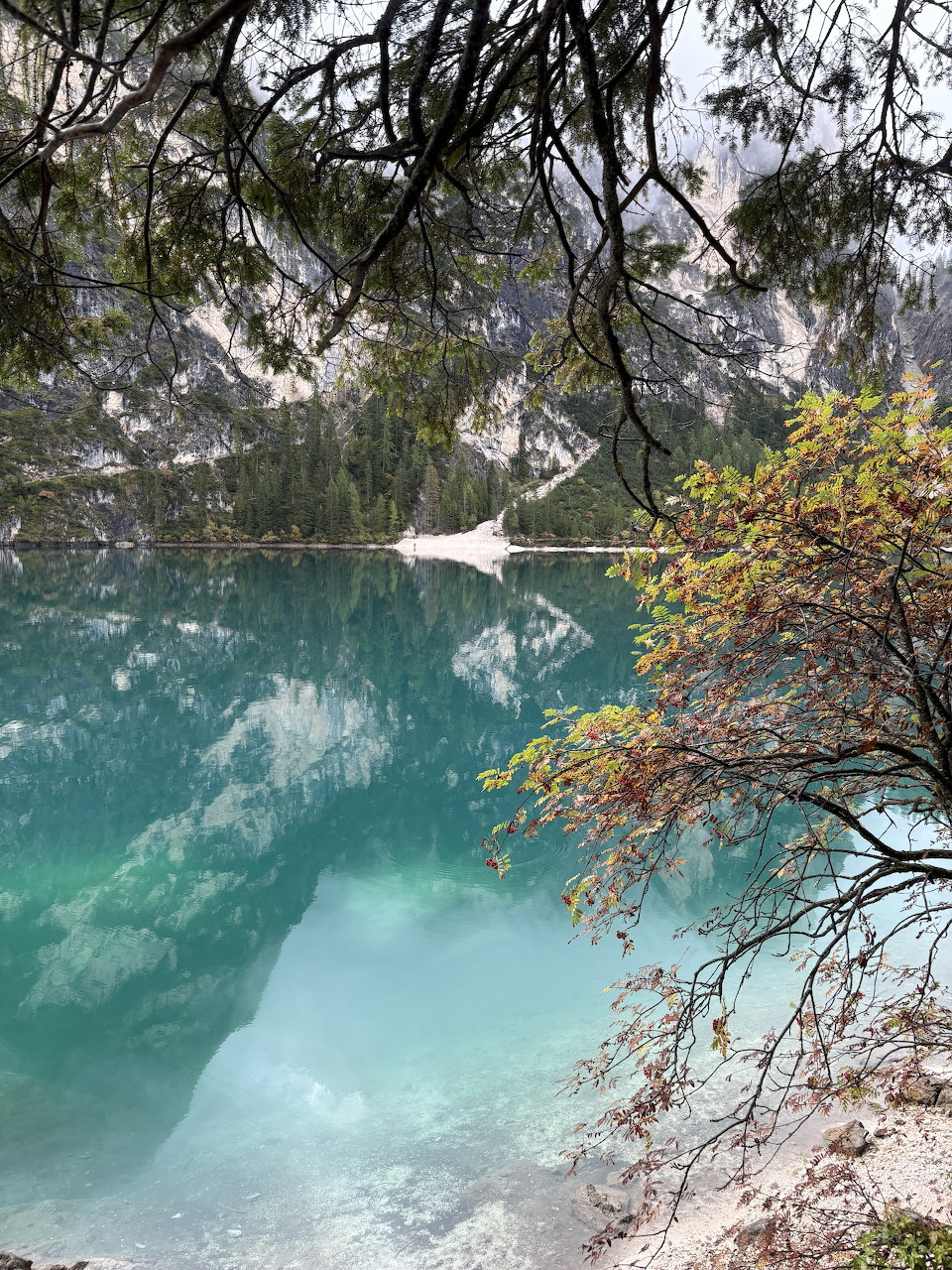 Turquoise mountain lake reflecting rocky peaks and pine trees at Lake Braies, Italy