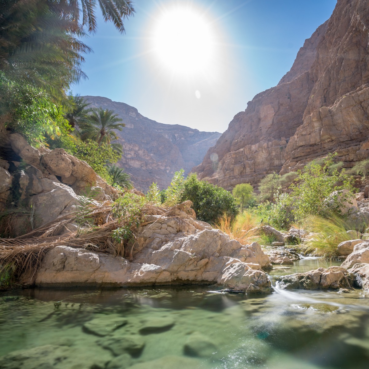 Desert Oasis Canyon Pool