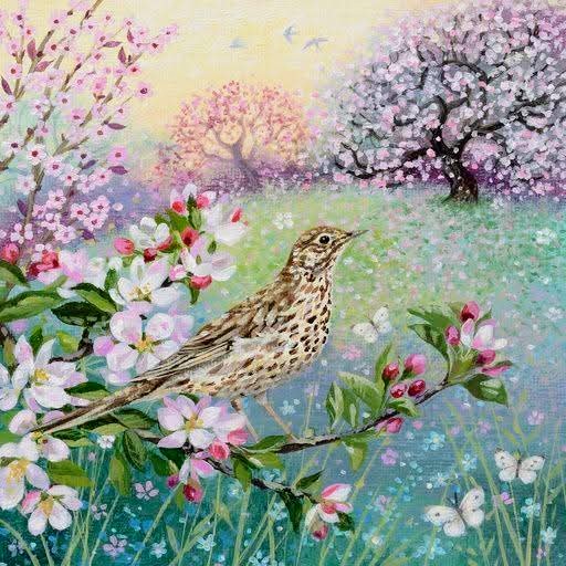 Bird in Spring
