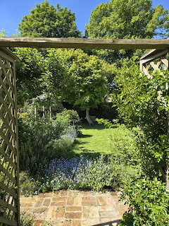 View through wooden garden trellis archway to green lawn and trees