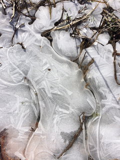 Thin ice sheets with intricate crystal patterns formed on frozen ground surrounded by dried grass