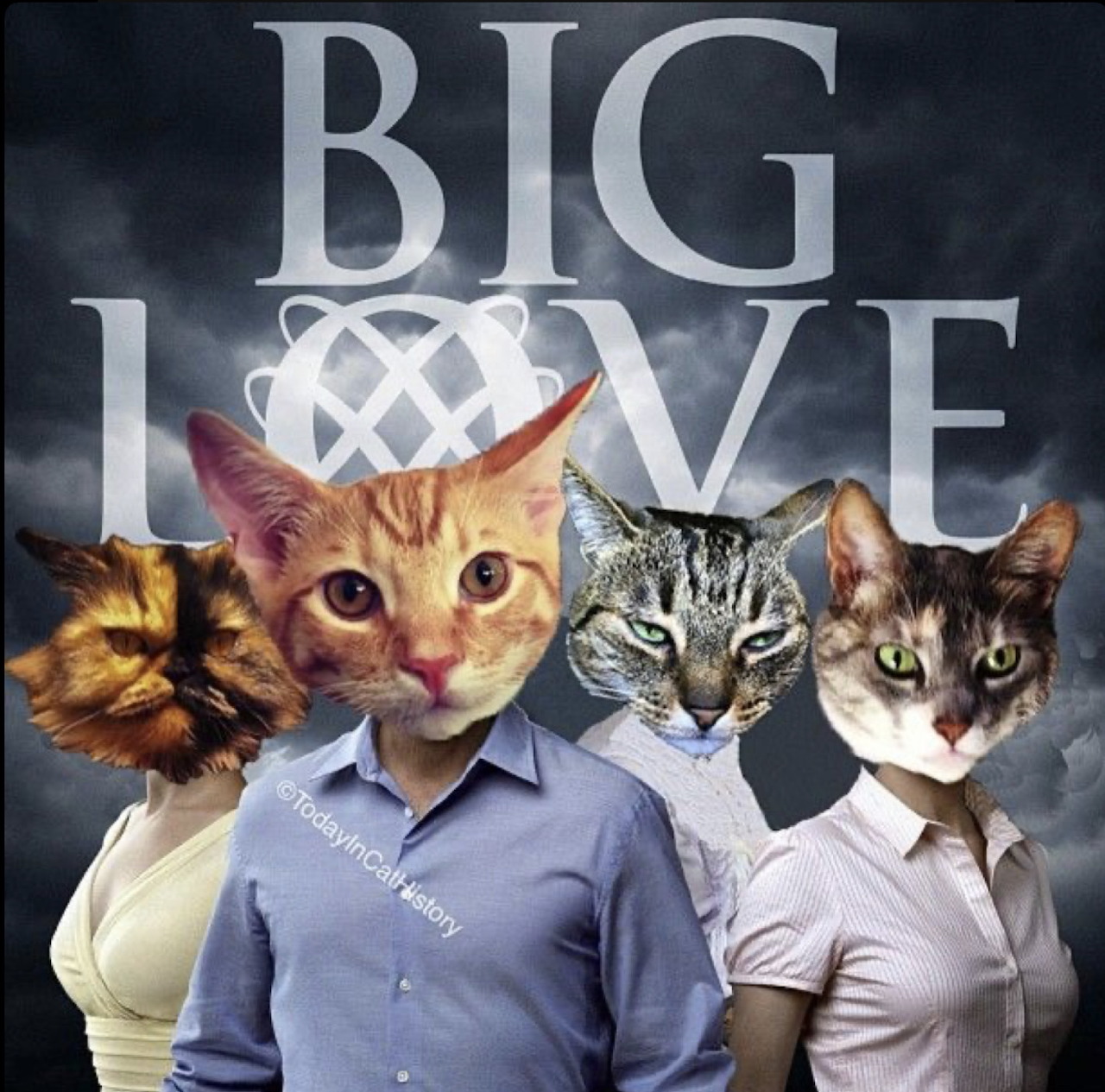 Funny collage of four cat heads on human bodies with Big Love text behind them