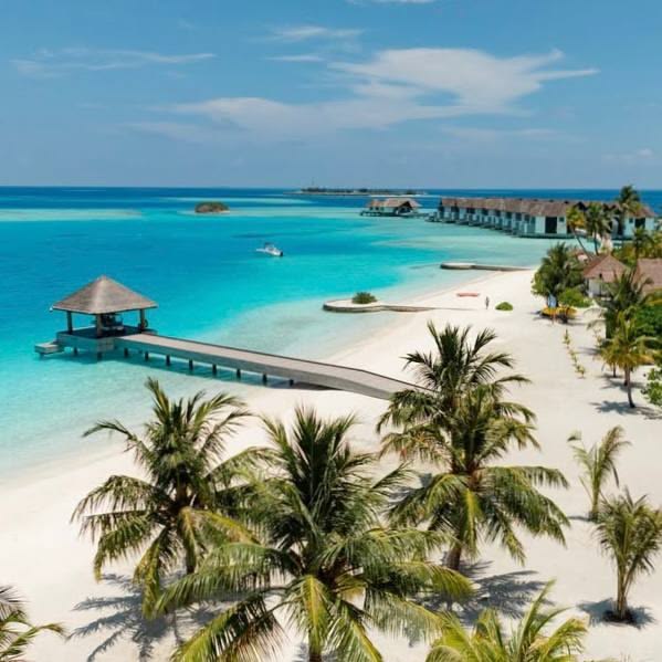 Aerial view of tropical beach with turquoise water, white sand, palm trees and overwater bungalows