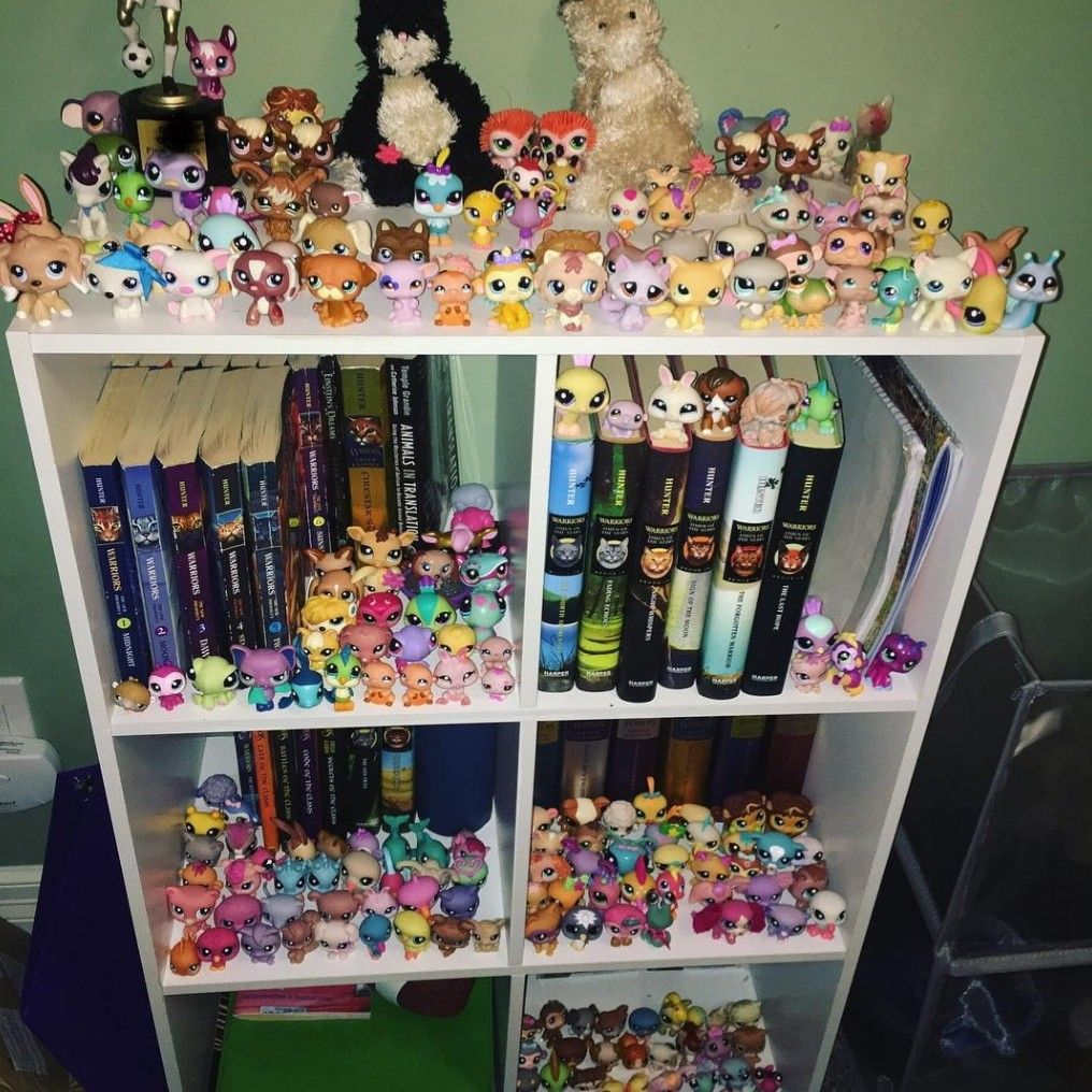 White bookshelf with extensive Littlest Pet Shop toy collection displayed on shelves