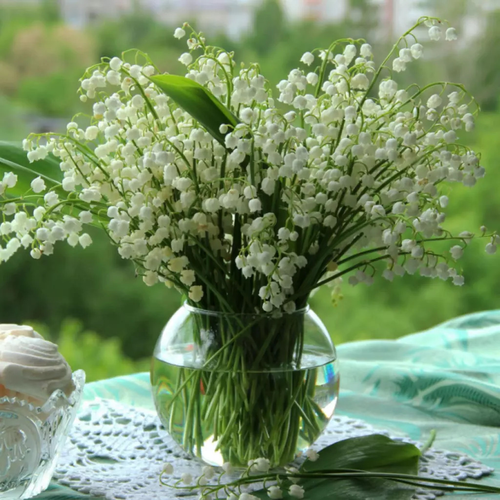 White lily of the valley flowers in a glass vase with green leaves and blurred garden background