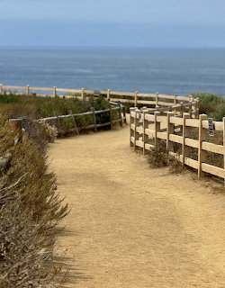 Coastal Trail to Ocean