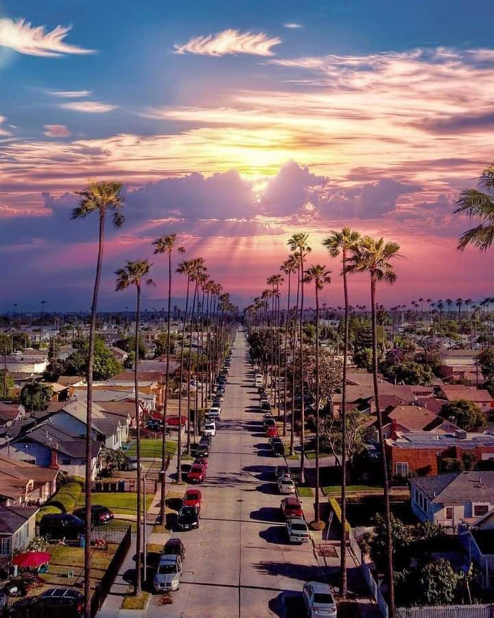 Aerial view of a palm tree-lined street in California with a colorful sunset sky