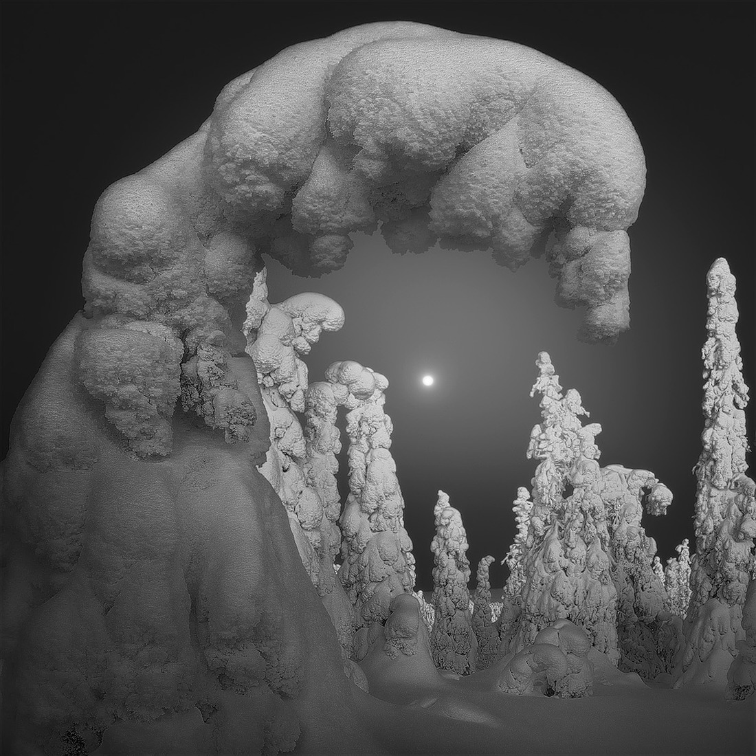Snow-laden trees form a large arch around a moonlit winter forest at night
