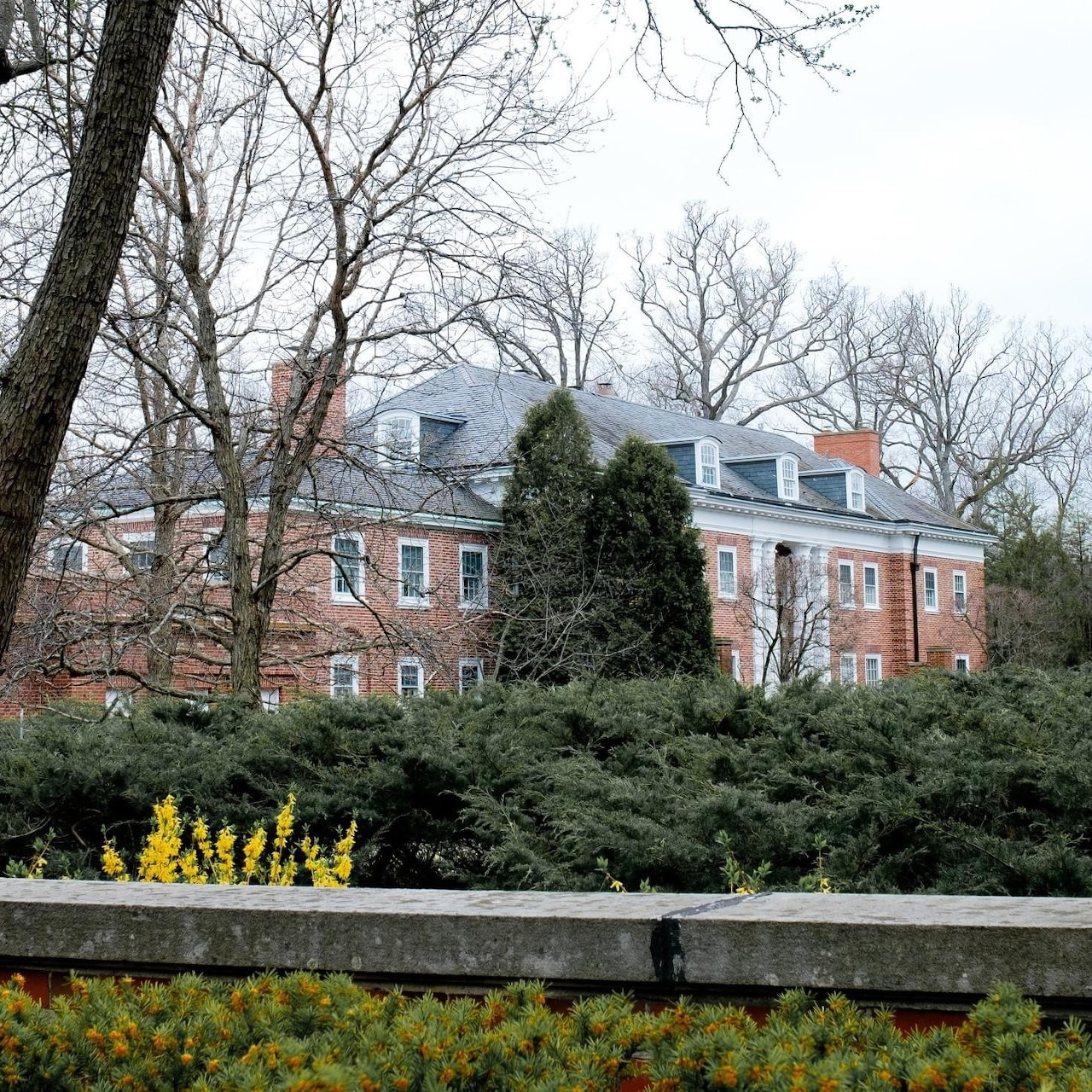 Red brick mansion with white columns and dormers behind winter garden with evergreens and bare trees