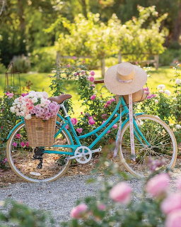 Bicycle in Rose Garden