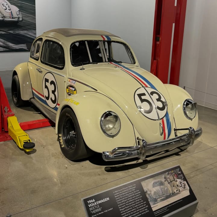 Vintage VW Beetle race car number 53 with racing stripes displayed indoors