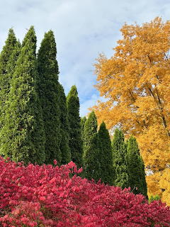 Colorful autumn trees with red, golden yellow, and green foliage against a cloudy blue sky