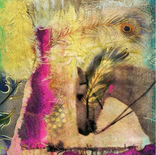 Mixed media artwork of a white horse with peacock feathers and colorful abstract textures