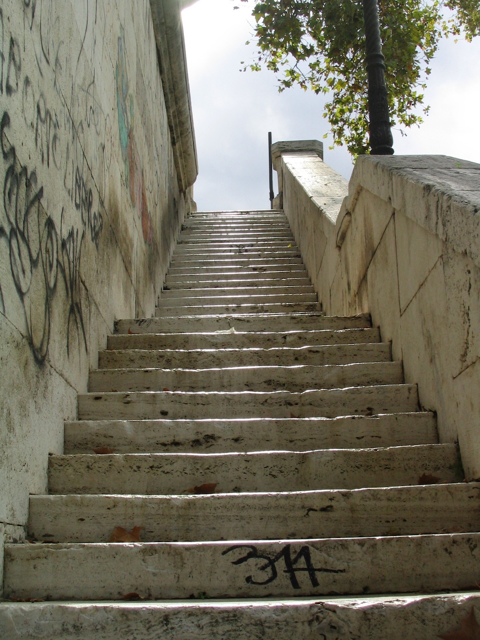 Looking up a concrete stairway between graffitied walls toward a tree and sky