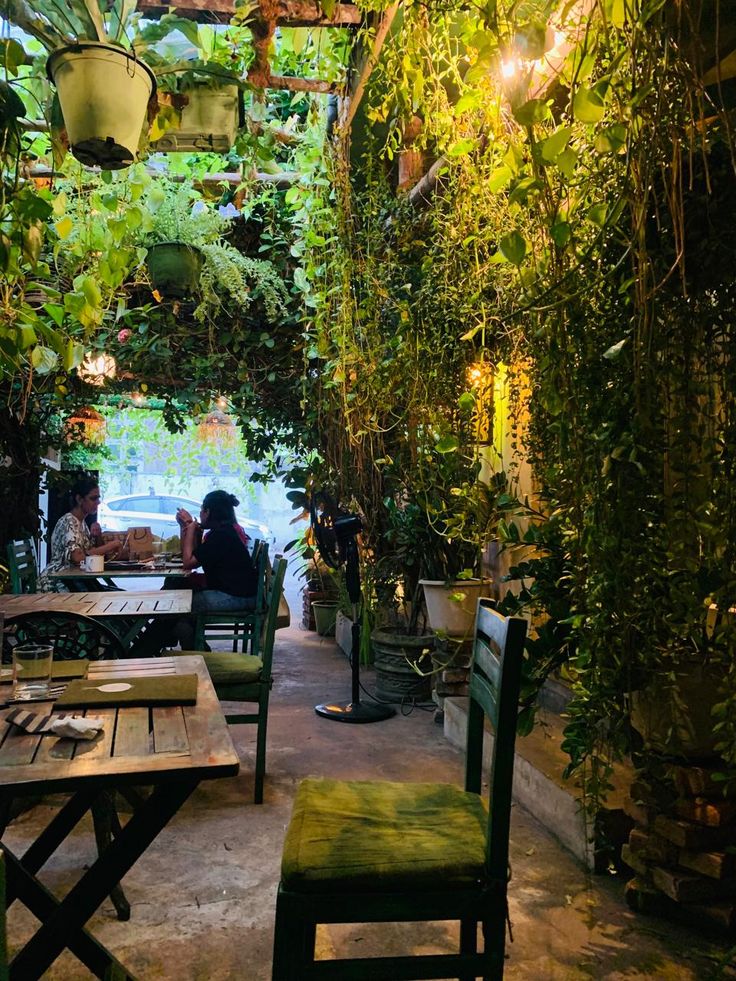 Cozy cafe interior covered in lush hanging green plants with wooden tables and chairs