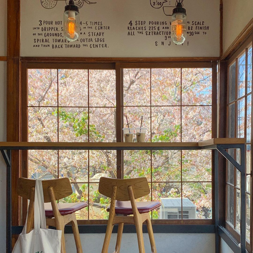 Cafe Interior Window View