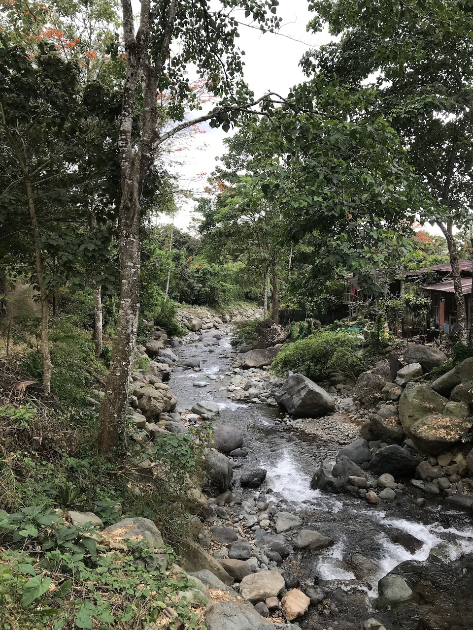 Rocky river flowing through dense tropical forest in Quebradas, Costa Rica