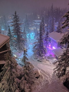 Snowy houses and pine trees lit by blue and purple lights at night