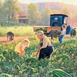 Helping Grandpa Load Watermelons