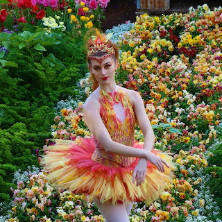 Firebird Ballet Dancer Garden