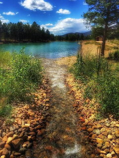 Rocky path leading into a turquoise lake with pine trees and blue sky in the background