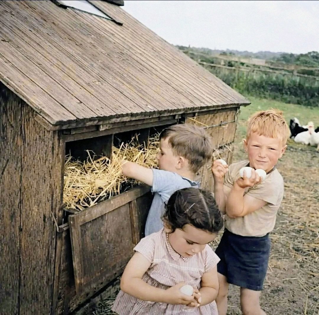 Children Collecting Eggs