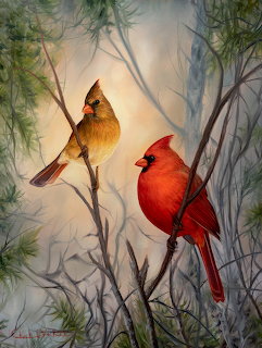 Male and female northern cardinals perched on bare branches with pine foliage in soft misty background