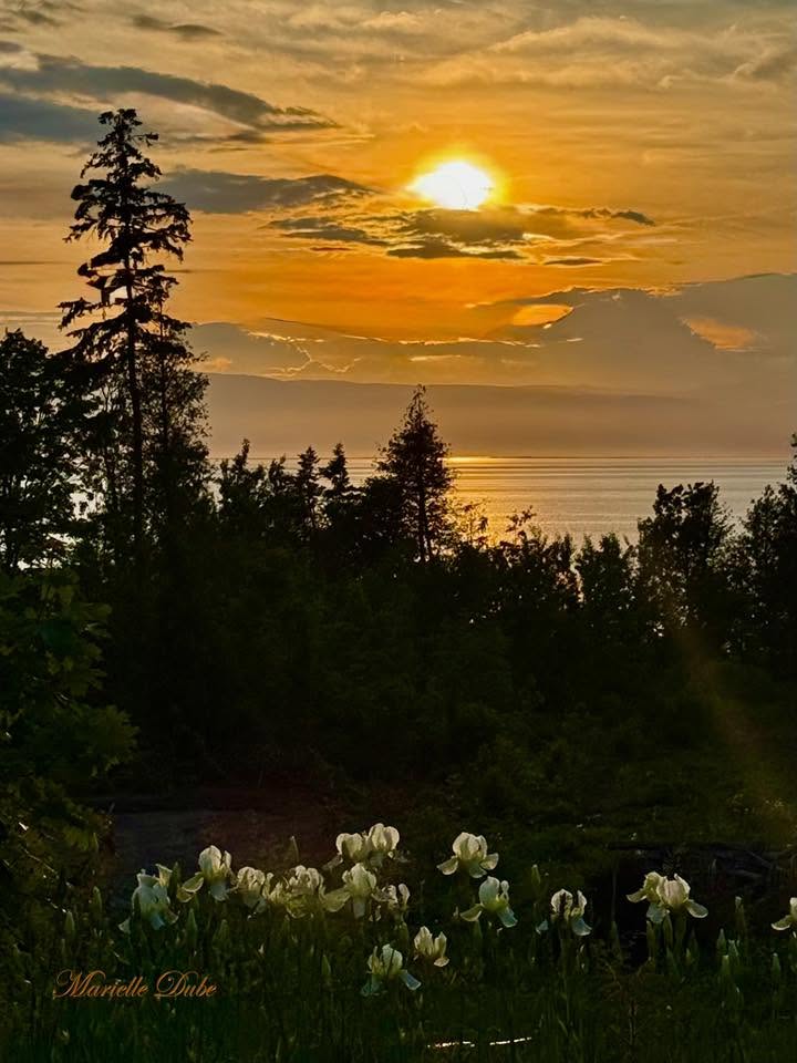 Sunset Over Ocean With Irises