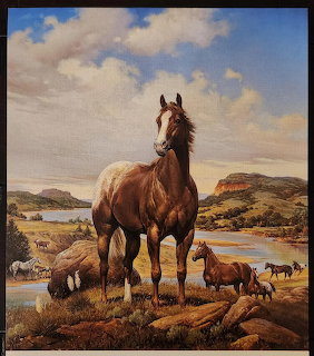 Brown horse standing on sandy shore with cloudy sky and distant landscape