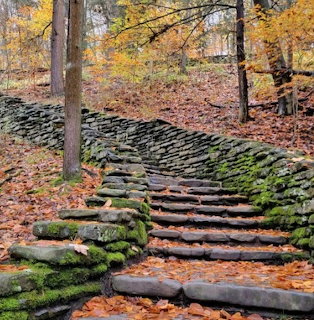 Mossy stone steps and dry-stone wall in an autumn forest with orange fallen leaves