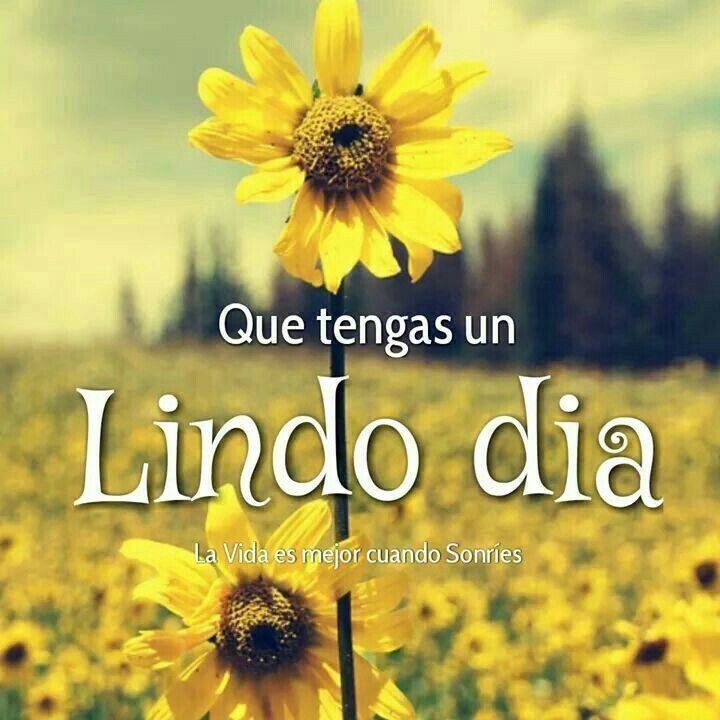Close-up of yellow sunflower with field and mountains behind, Spanish greeting text overlay