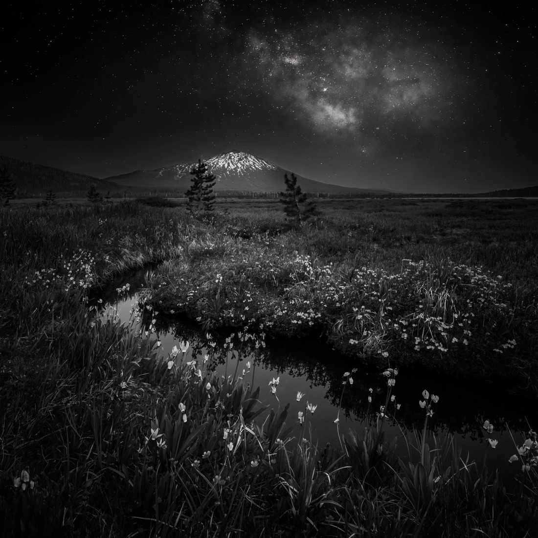 Monochrome night scene: wildflower meadow, mountain silhouette, and starry Milky Way sky