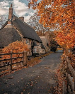 Thatched cottage on autumn lane with orange foliage and wooden fence