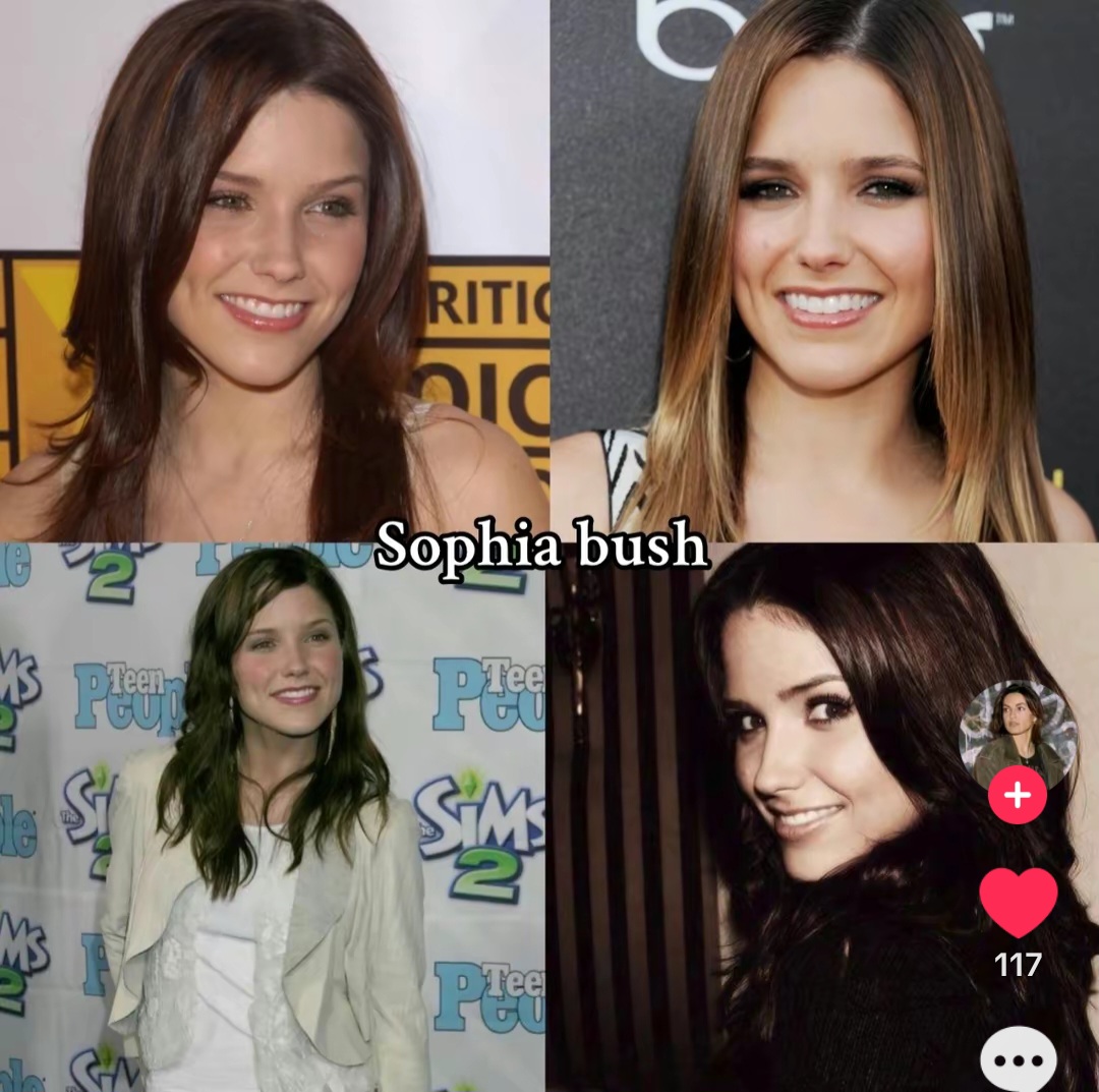 Four-photo collage of actress Sophia Bush smiling at events and in a casual portrait