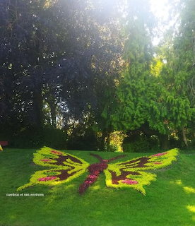 Butterfly Flower Bed