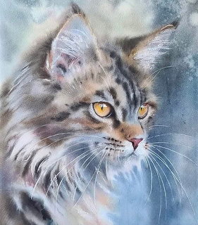 Maine Coon Cat Watercolor