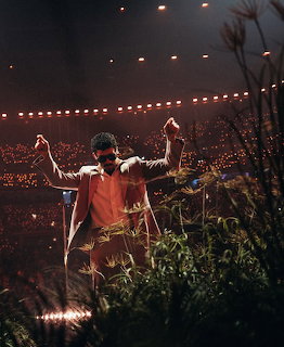 Bad Bunny Concert Performance