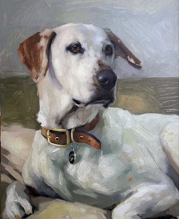 Oil painting of a white Labrador with brown ears resting on cushions, wearing a brown collar